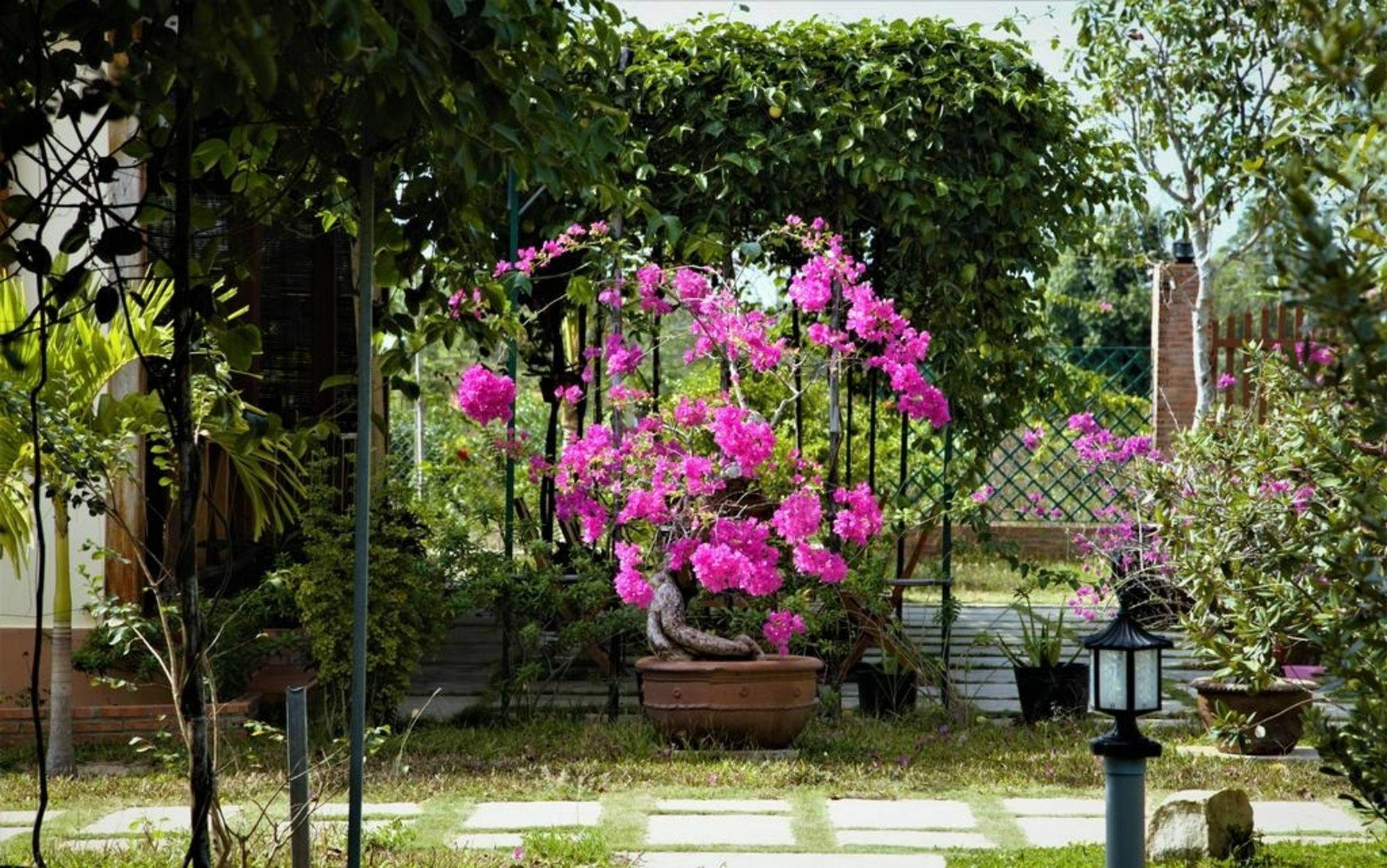Проживание в семье Spring Garden